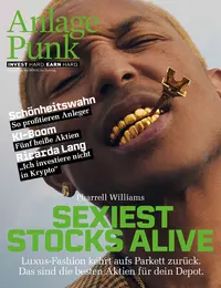 Vorschaubild Aktuelle Ausgabe AnlagePunk